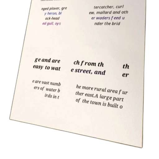 jewelry, text-heavy, image, various transparent PNG cut-out
