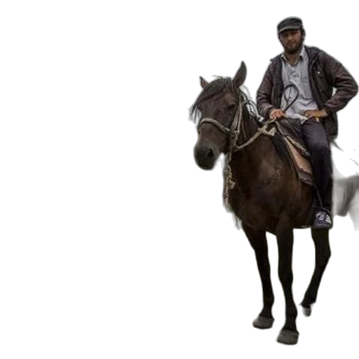 jacket, staff, animal, hat transparent PNG cut-out