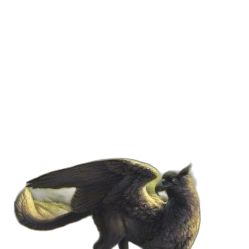 dragon, animal, creature, staff transparent PNG cut-out