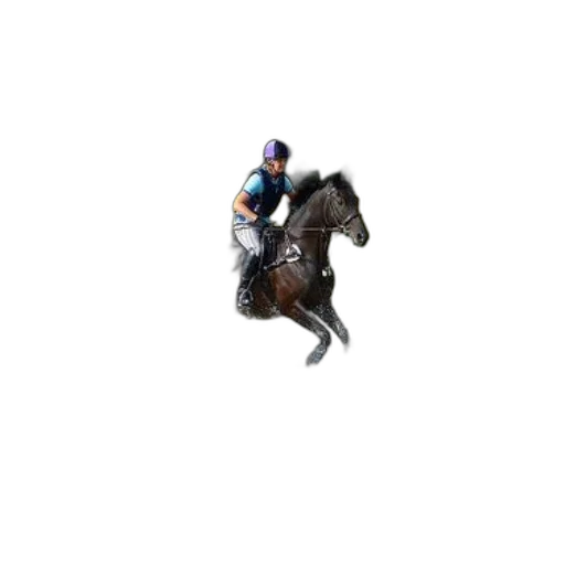 animal, hat, pixel art, rider transparent PNG cut-out