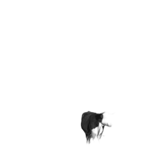 animal, creature, hat, staff transparent PNG cut-out