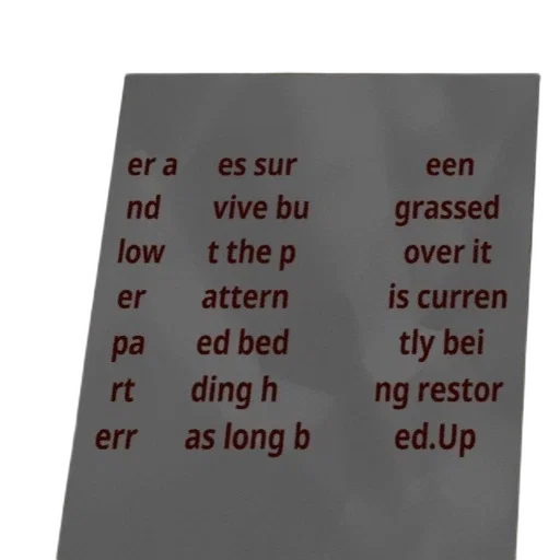 food, 3d render, sign, indicating transparent PNG cut-out