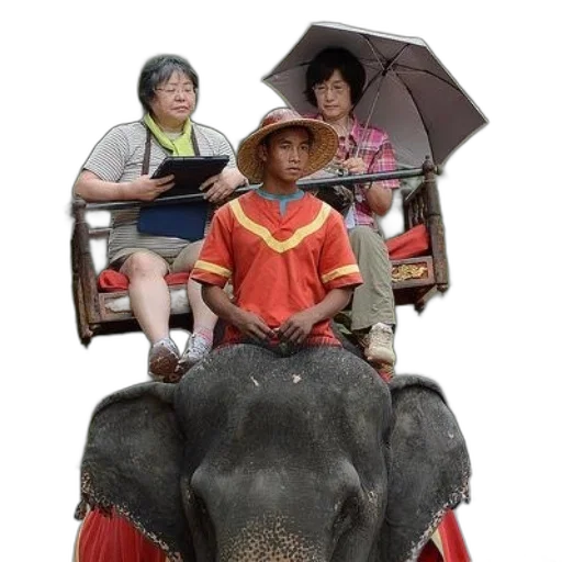 umbrella, animal, hat, car transparent PNG cut-out
