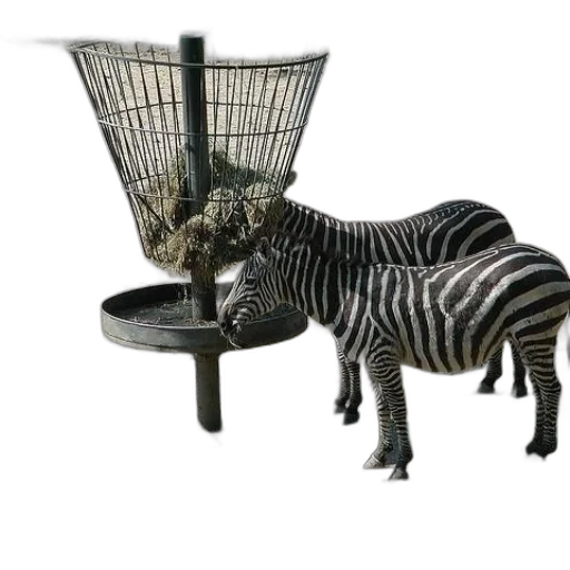 furniture, animal, creature, jewelry transparent PNG cut-out