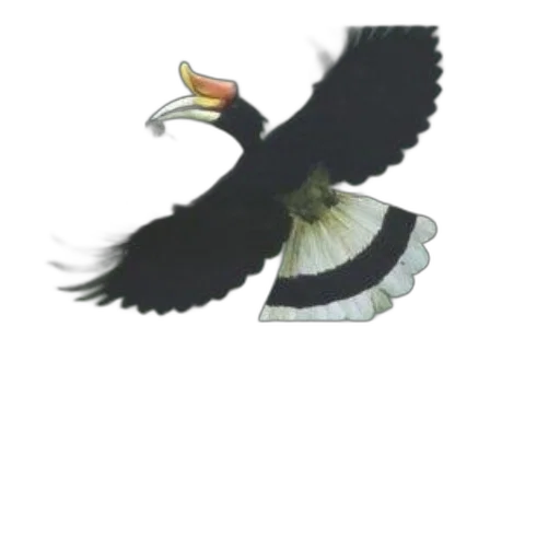 animal, staff, weapon, jewelry transparent PNG cut-out