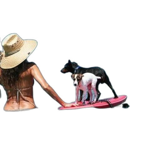 hat, animal, photorealistic, concept art transparent PNG cut-out