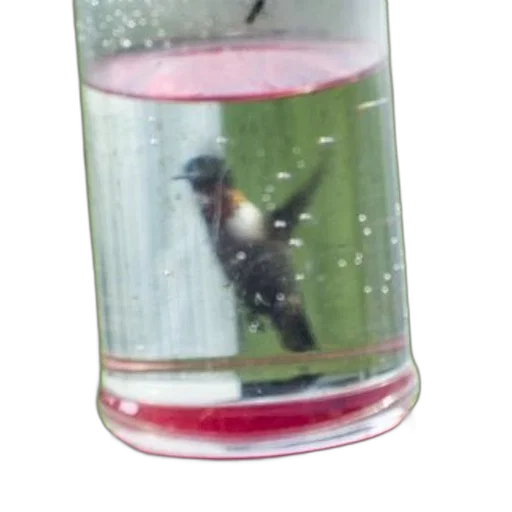 bottle, animal, creature, staff transparent PNG cut-out