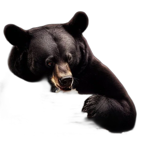 animal, creature, photorealistic, black transparent PNG cut-out