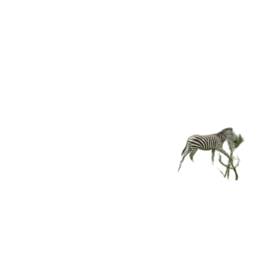animal, dragon, creature, furniture transparent PNG cut-out
