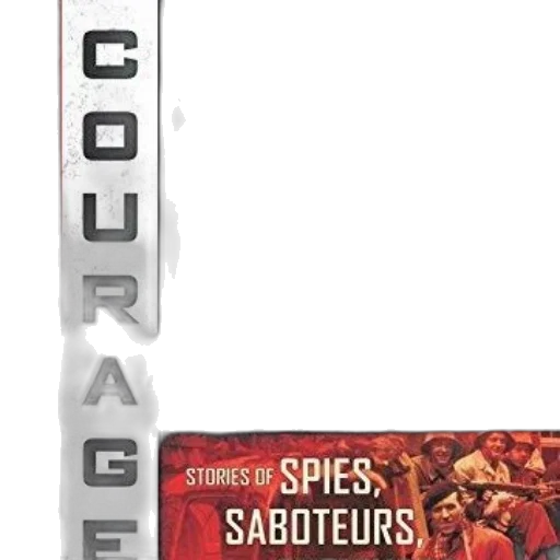 sword, red, cover, courage transparent PNG cut-out
