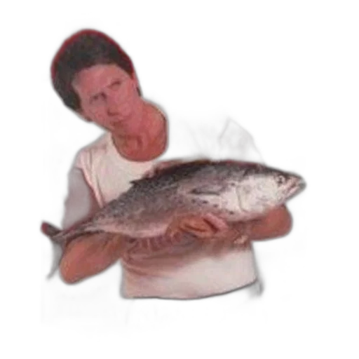 animal, food, creature, staff transparent PNG cut-out
