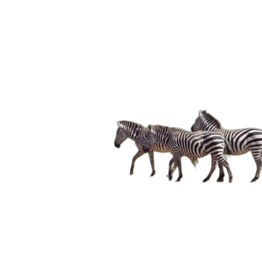 animal, creature, jewelry, staff transparent PNG cut-out