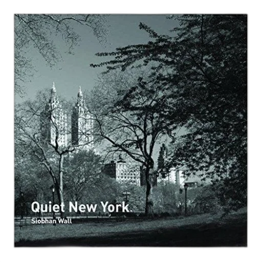 black, white, photograph, new transparent PNG cut-out