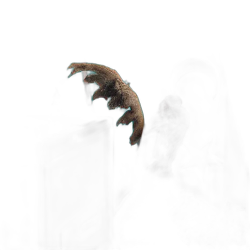 dragon, creature, animal, hair transparent PNG cut-out
