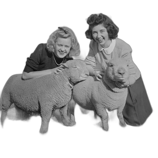 animal, two, women, pose transparent PNG cut-out