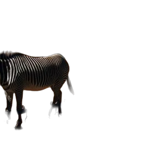 animal, creature, hair, robot transparent PNG cut-out