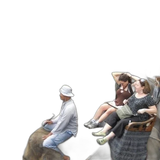 hat, animal, furniture, creature transparent PNG cut-out