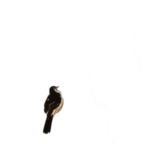 animal, hair, staff, dress transparent PNG cut-out