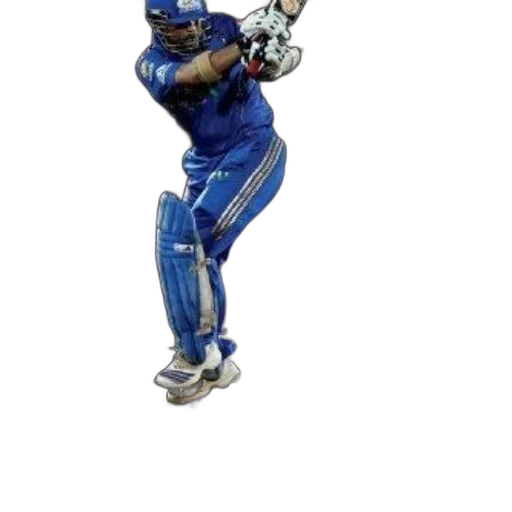 cambridge, companion, cricket, book transparent PNG cut-out