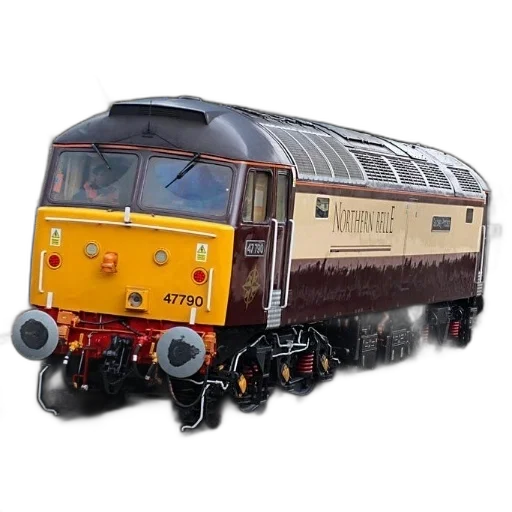 3d render, photorealistic, northern, belle transparent PNG cut-out