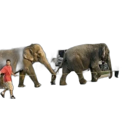 animal, creature, car, robot transparent PNG cut-out