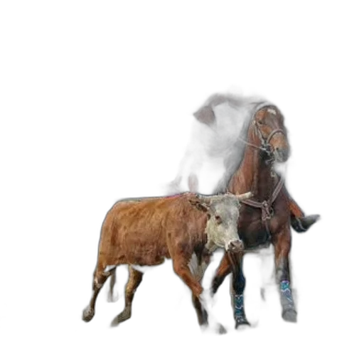 animal, creature, weapon, hair transparent PNG cut-out