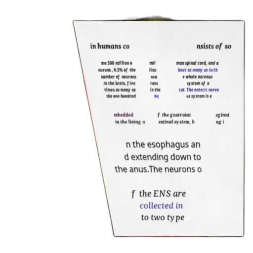 image, contains, text, discussing transparent PNG cut-out