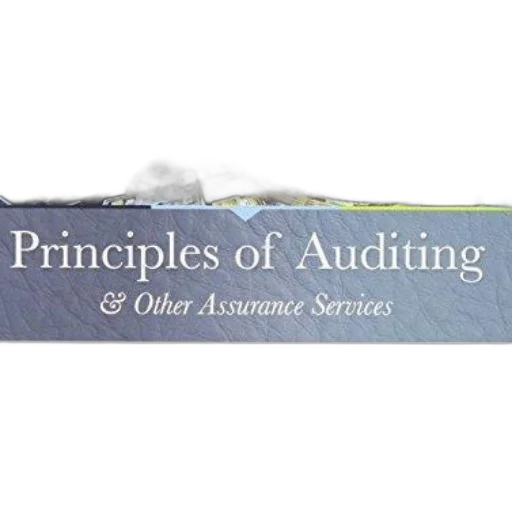 cover, principles, auditing, other transparent PNG cut-out