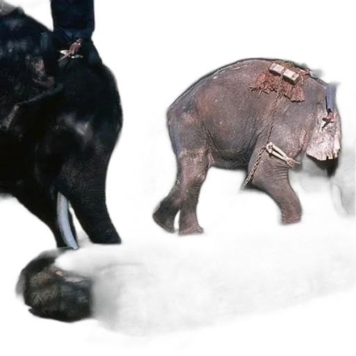 animal, creature, staff, weapon transparent PNG cut-out