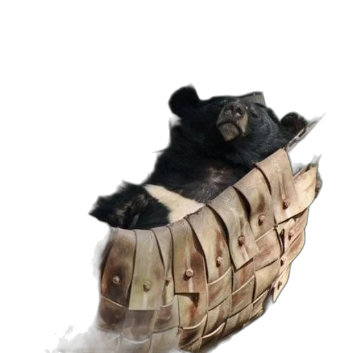 shoes, mask, animal, dragon transparent PNG cut-out