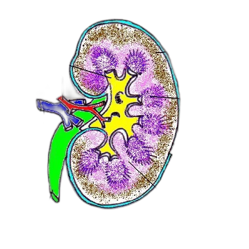 flower, jewelry, crown, staff transparent PNG cut-out