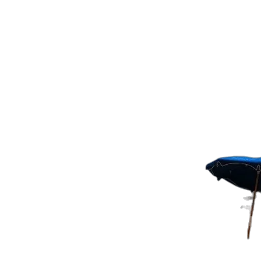 umbrella, hat, furniture, staff transparent PNG cut-out