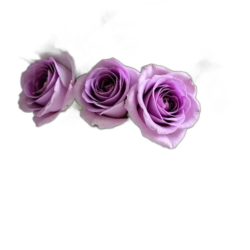 flower, jewelry, crown, staff transparent PNG cut-out