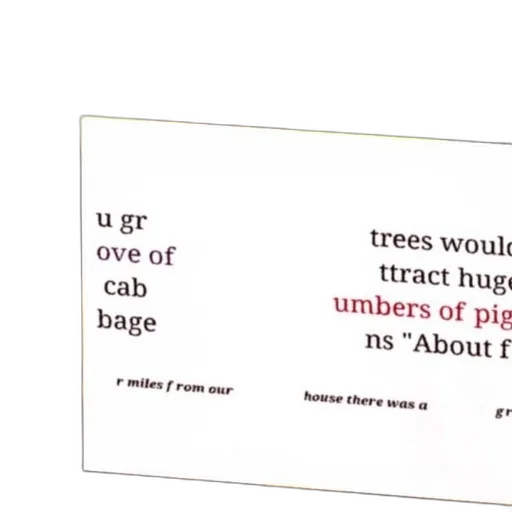 tree, forest, text, excerpt transparent PNG cut-out