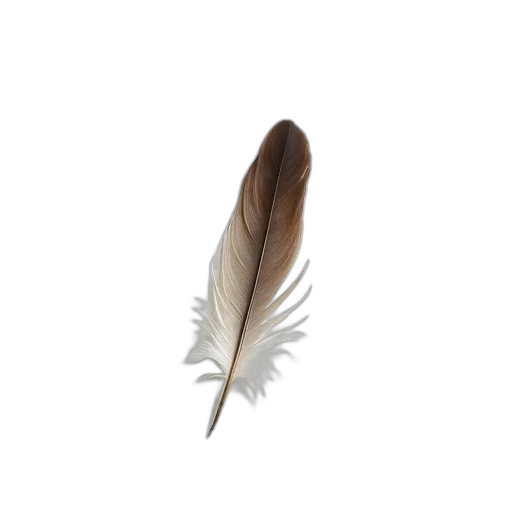 shoes, hat, hair, jewelry transparent PNG cut-out