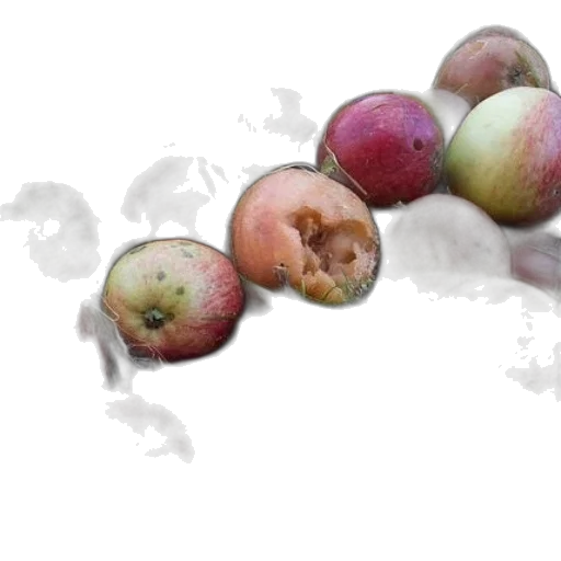 food, crown, watercolor, photorealistic transparent PNG cut-out