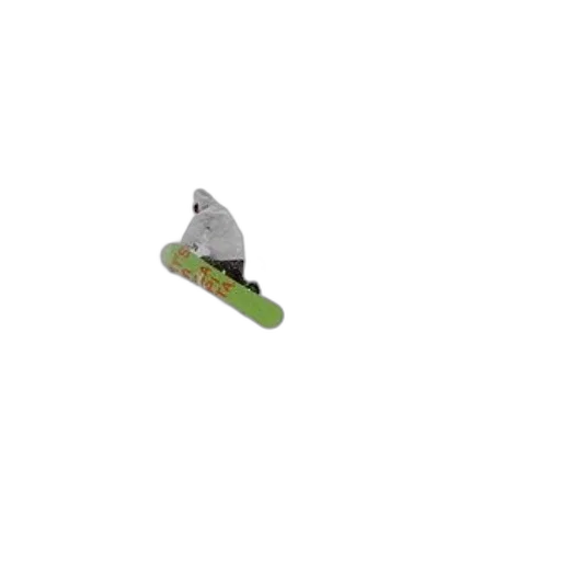 shoes, animal, hat, creature transparent PNG cut-out