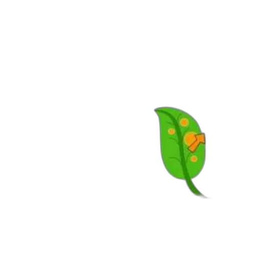 flower, food, tree, crown transparent PNG cut-out