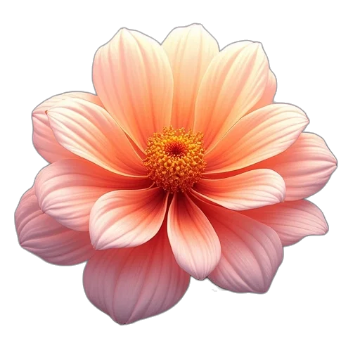 flower, crown, jewelry, staff transparent PNG cut-out
