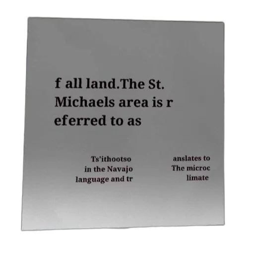 fog, forest, city street, sign transparent PNG cut-out