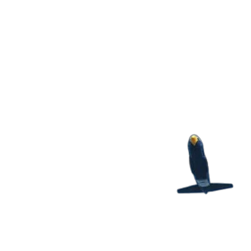 animal, robot, sword, weapon transparent PNG cut-out