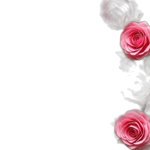 flower, jewelry, crown, dress transparent PNG cut-out