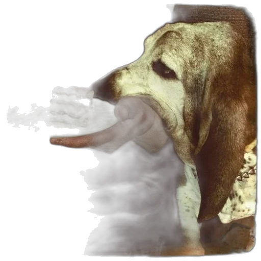 animal, creature, mask, face transparent PNG cut-out
