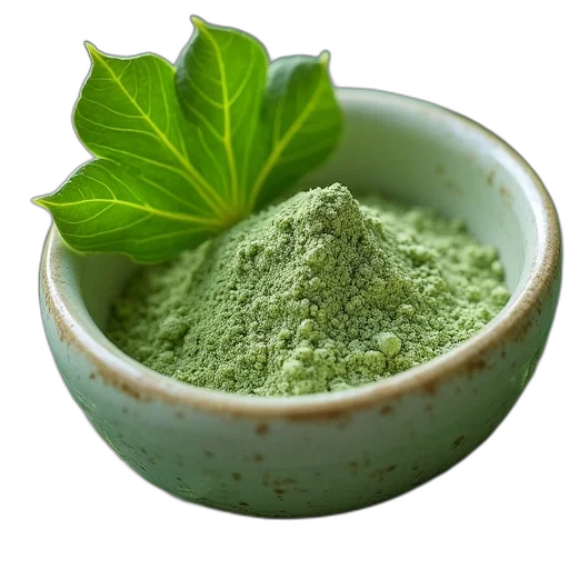 food, green, gingko, leaf transparent PNG cut-out