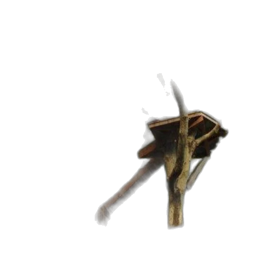 weapon, staff, umbrella, crown transparent PNG cut-out