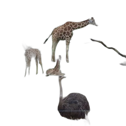 animal, creature, hat, umbrella transparent PNG cut-out
