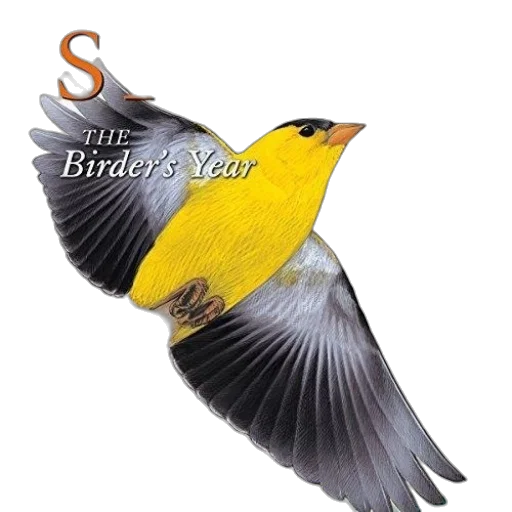 cover, sibley, birder, year transparent PNG cut-out