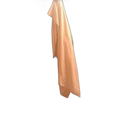 dress, umbrella, staff, jacket transparent PNG cut-out