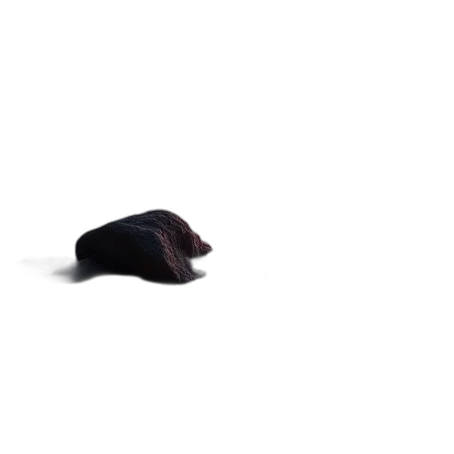 hat, animal, hair, shoes transparent PNG cut-out