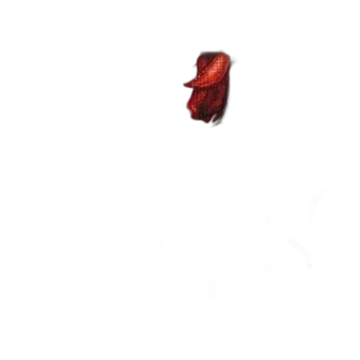 animal, creature, shoes, food transparent PNG cut-out